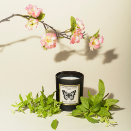 MADAME BUTTERFLY - Bougie Cerisier Sakura & verveine