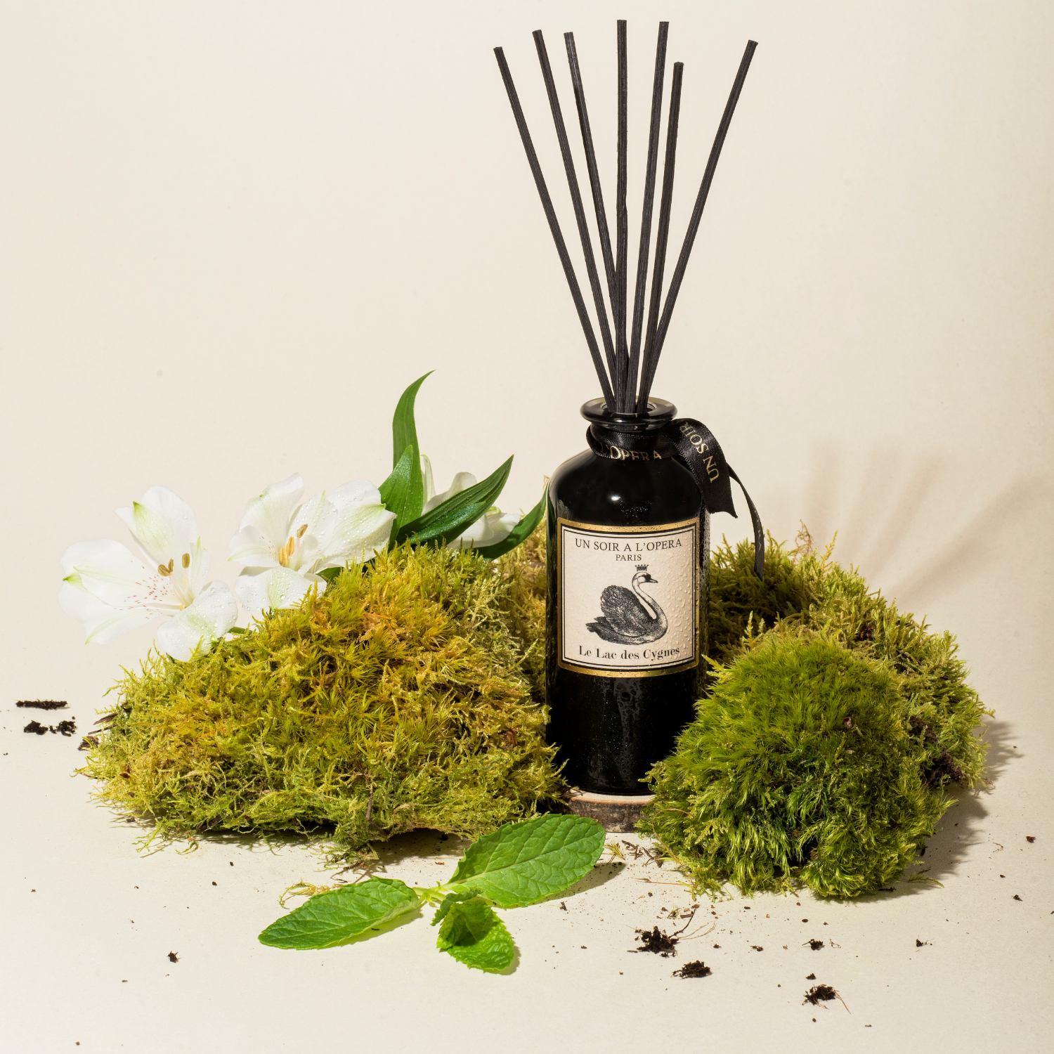 Home reed diffuser Swan Lake 